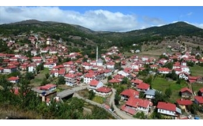 Karadeniz'in doğasını ve mimarisini koruyan mahalle: Yeşilce (AA)